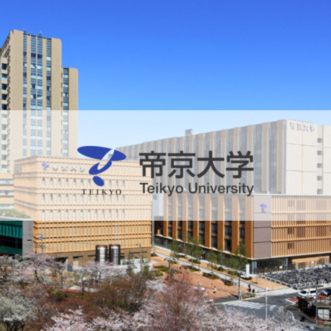 Teikyo University